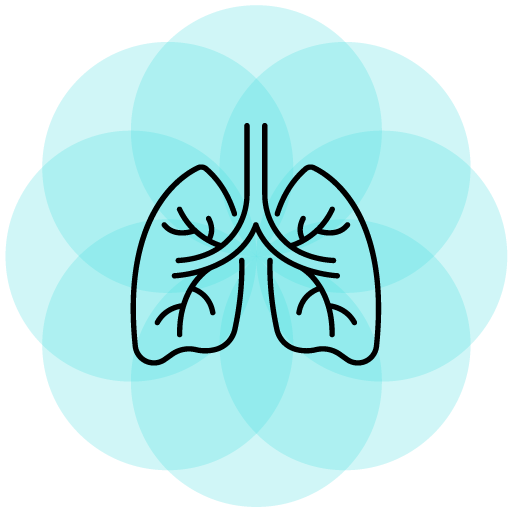 Akademia Spirometrii